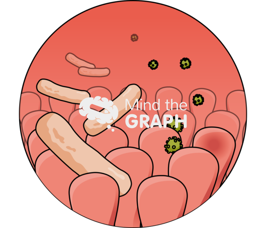 Good bad bacteria zoom Icons, Symbols, Pictures, and Images