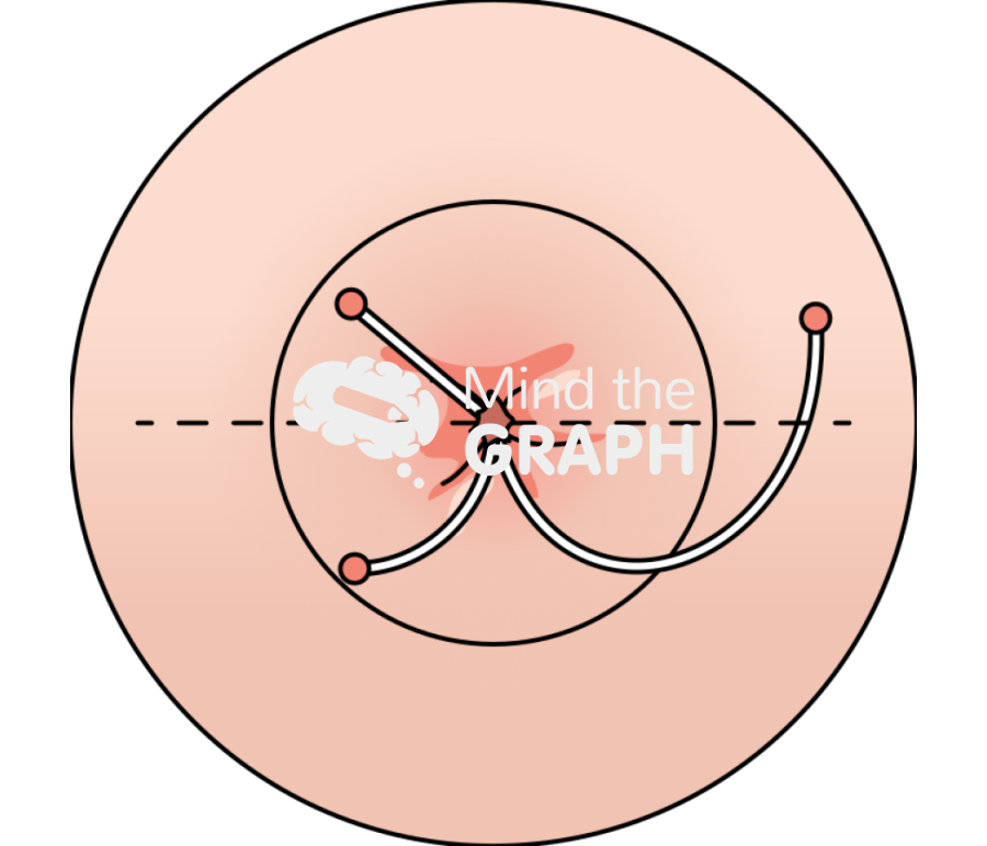 Goodsalls rule zoom Icons, Symbols, Pictures, and Images