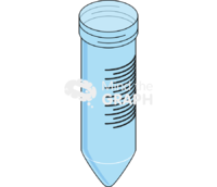 Graduated falcon capless 2 - Edit and Customize Icons of Graduated falcon capless 2 Graduated falcon capless 2 Icons, Symbols, Pictures, and Images