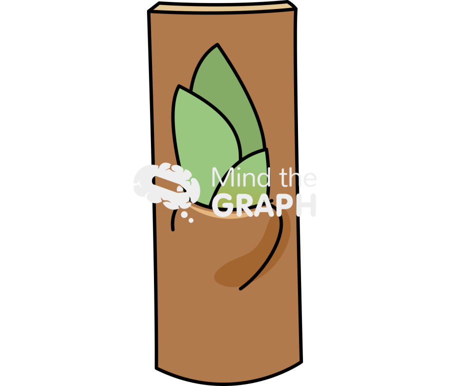 Grafting stem biology 1 Icons, Symbols, Pictures, and Images