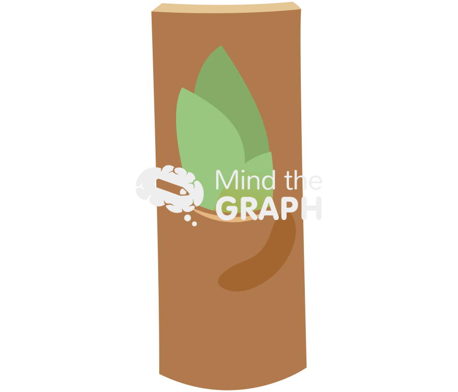 Grafting stem biology 1 Icons, Symbols, Pictures, and Images