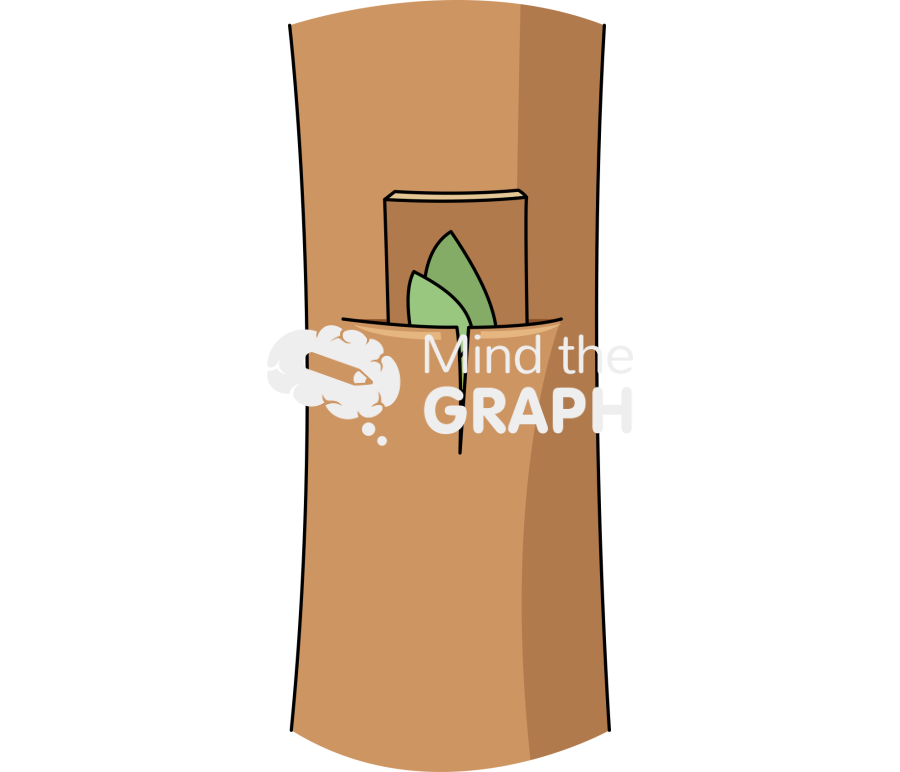 Grafting stem biology 4 Icons, Symbols, Pictures, and Images