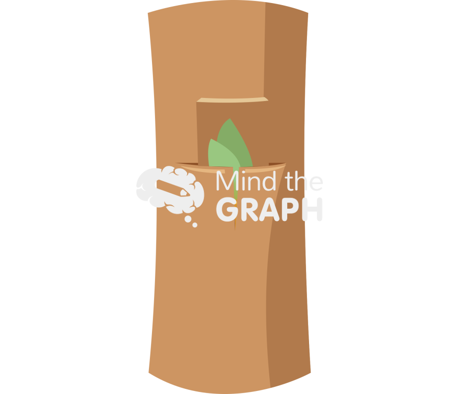 Grafting stem biology 4 Icons, Symbols, Pictures, and Images