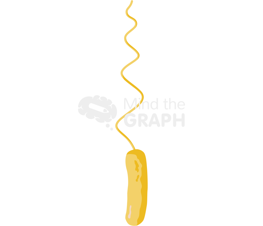 Gram negative bacterial flagella 2 Icons, Symbols, Pictures, and Images