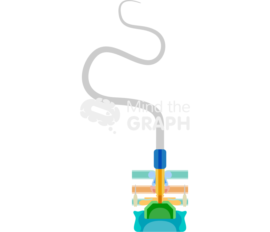 Gram negative bacterial flagella structure Icons, Symbols, Pictures, and Images