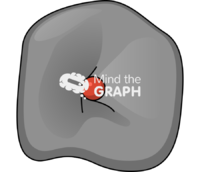 Graphene nanosphere formation 2 Icons, Symbols, Pictures, and Images