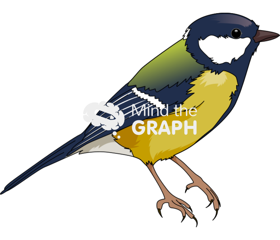 Great tit Icons, Symbols, Pictures, and Images