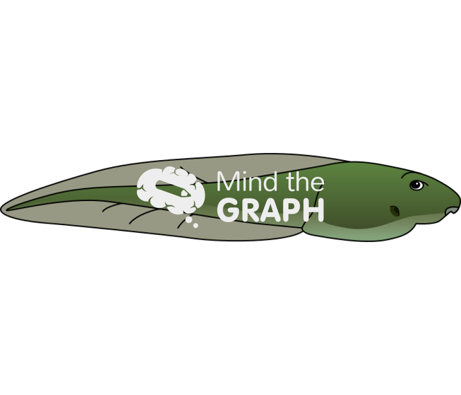 Green frog larvae lateral Icons, Symbols, Pictures, and Images