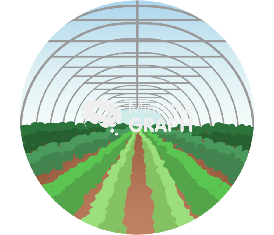 Greenhouse zoom Icons, Symbols, Pictures, and Images