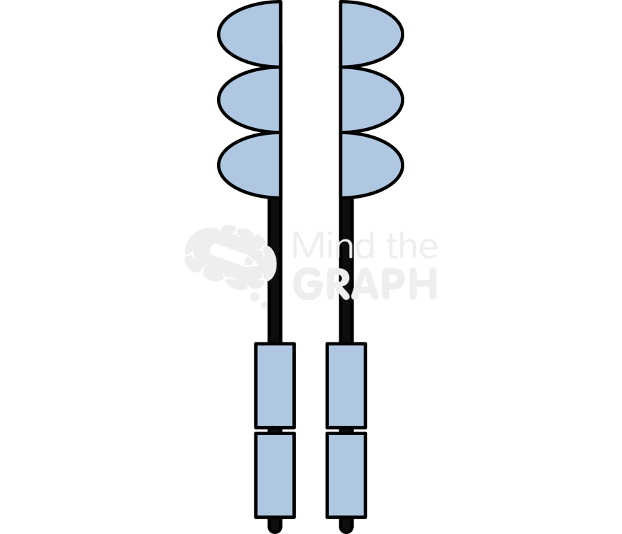 Growth factor receptor front Icons, Symbols, Pictures, and Images