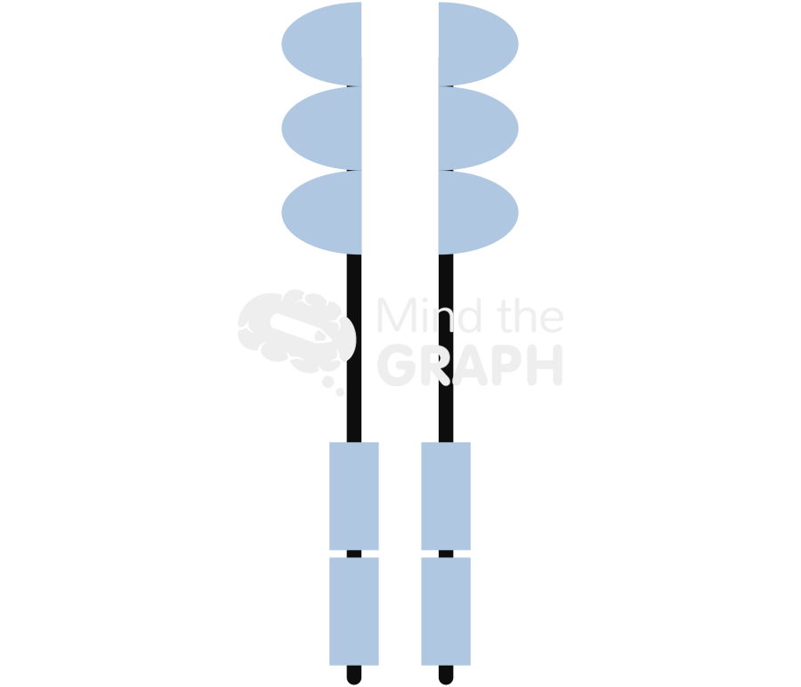 Growth factor receptor front Icons, Symbols, Pictures, and Images