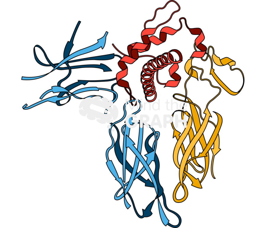 Growth hormone Icons, Symbols, Pictures, and Images