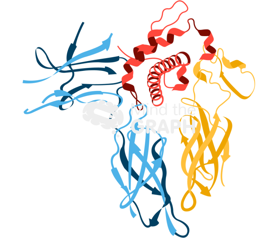 Growth hormone Icons, Symbols, Pictures, and Images