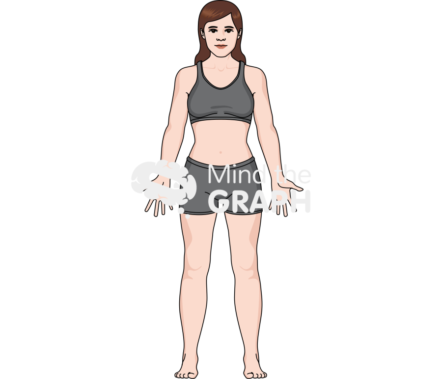 Growth Stage Adult Female Icons, Symbols, Pictures, and Images