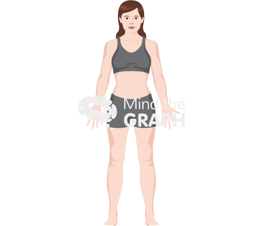 Growth Stage Adult Female Icons, Symbols, Pictures, and Images