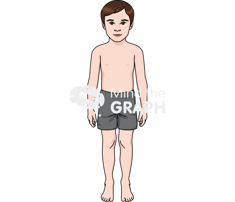 Growth stage child male Icons, Symbols, Pictures, and Images
