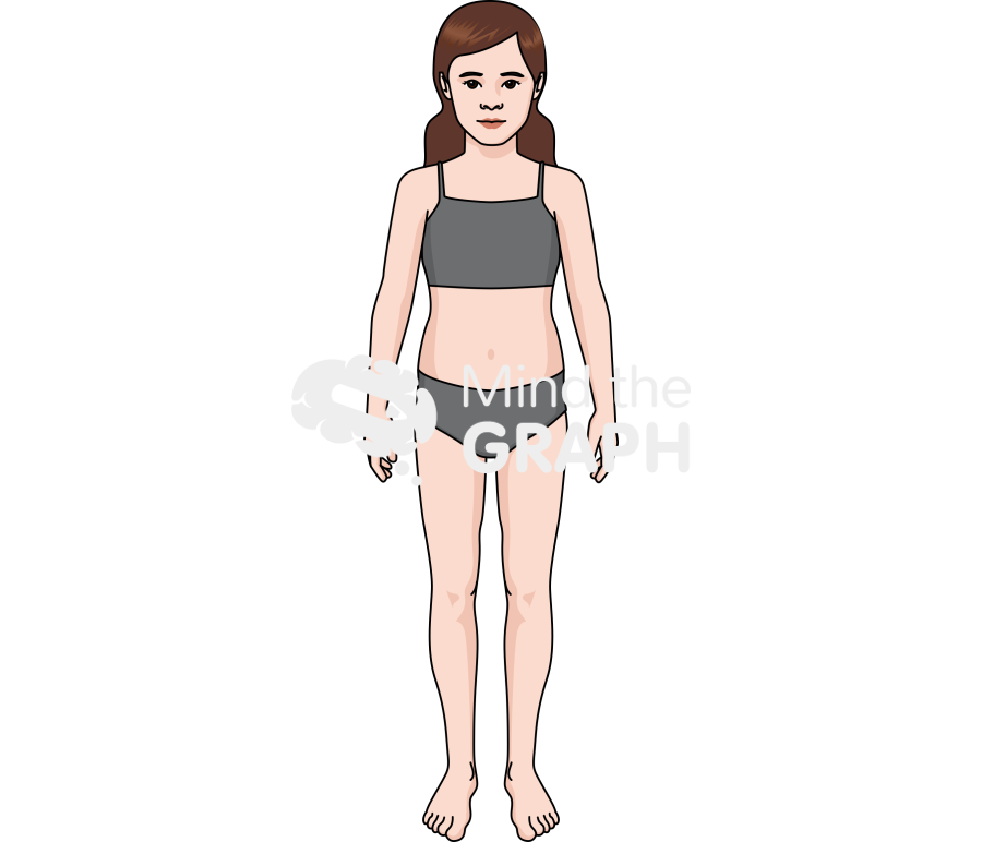 Growth Stage Pre Puberty Female Icons, Symbols, Pictures, and Images