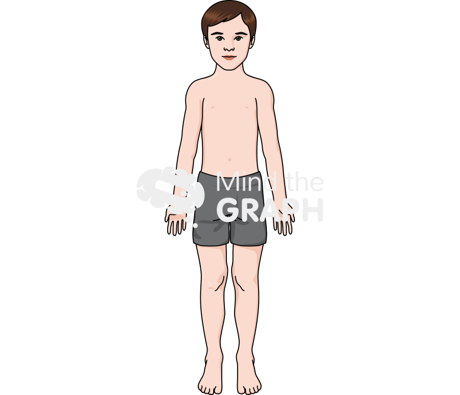 Growth stage pre puberty male Icons, Symbols, Pictures, and Images