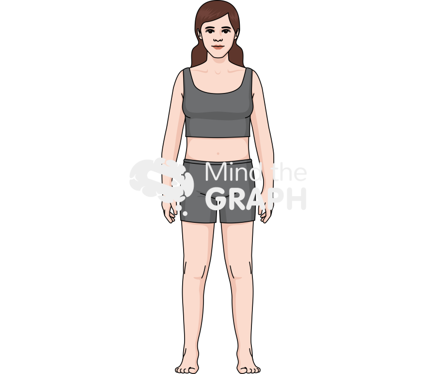 Growth Stage Teenager Female Icons, Symbols, Pictures, and Images