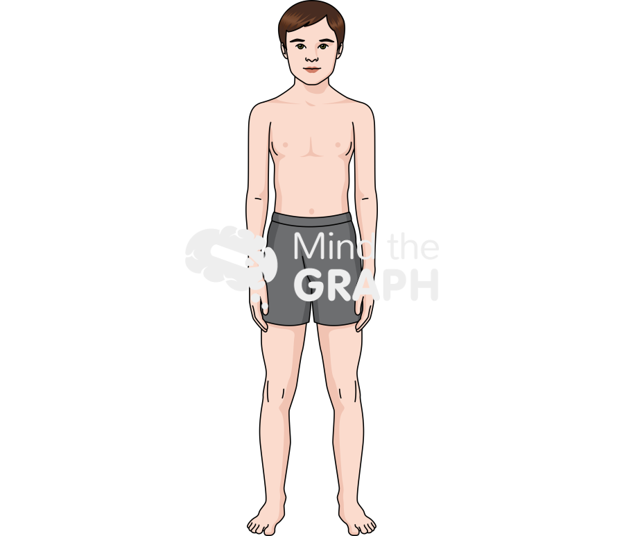 Free Growth stage teenager male Icons, Symbols, Pictures, and Images ...