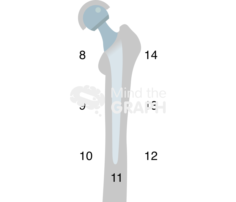 Gruen zones lateral bone Icons, Symbols, Pictures, and Images