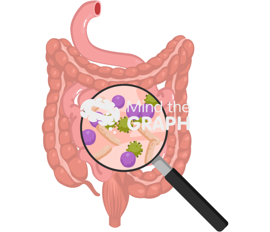Gut dysbiosis stomach zoom Icons, Symbols, Pictures, and Images