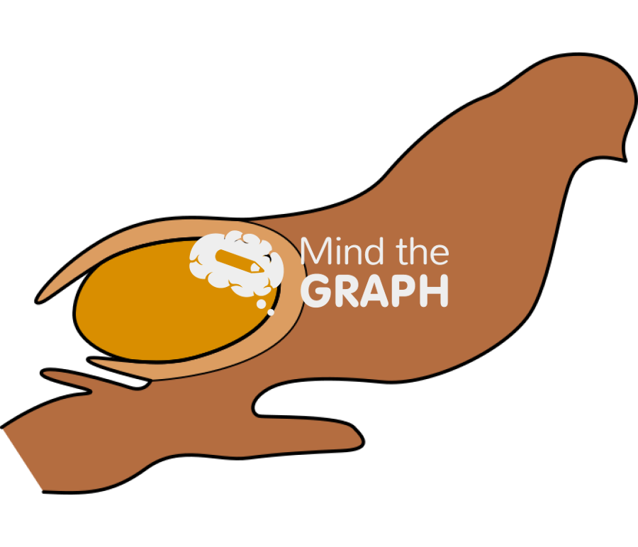 Gymnosperm imature ovulate cone cut Icons, Symbols, Pictures, and Images