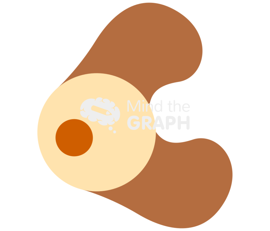 Gymnosperm microsporocytes Icons, Symbols, Pictures, and Images