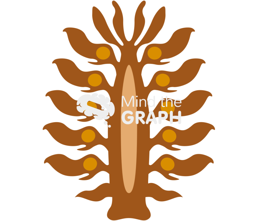 Gymnosperm open cone cut Icons, Symbols, Pictures, and Images