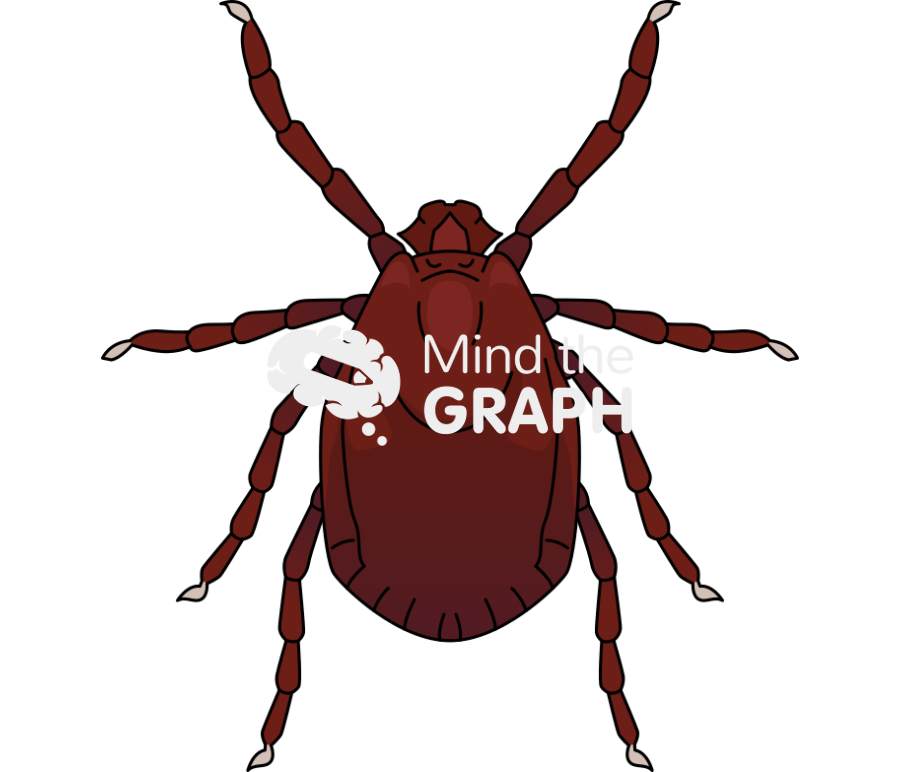 Haemaphysalis longicornis asian longhorned tick Icons, Symbols, Pictures, and Images