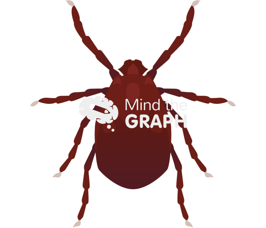 Haemaphysalis longicornis asian longhorned tick Icons, Symbols, Pictures, and Images