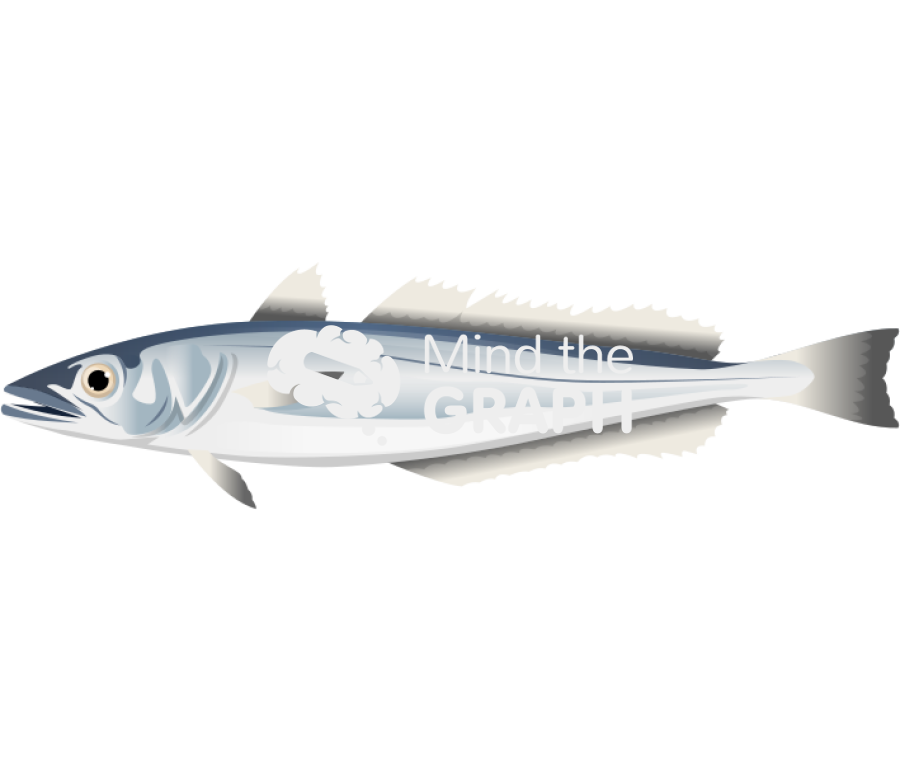 Hake merluccius merluccius lateral Icons, Symbols, Pictures, and Images