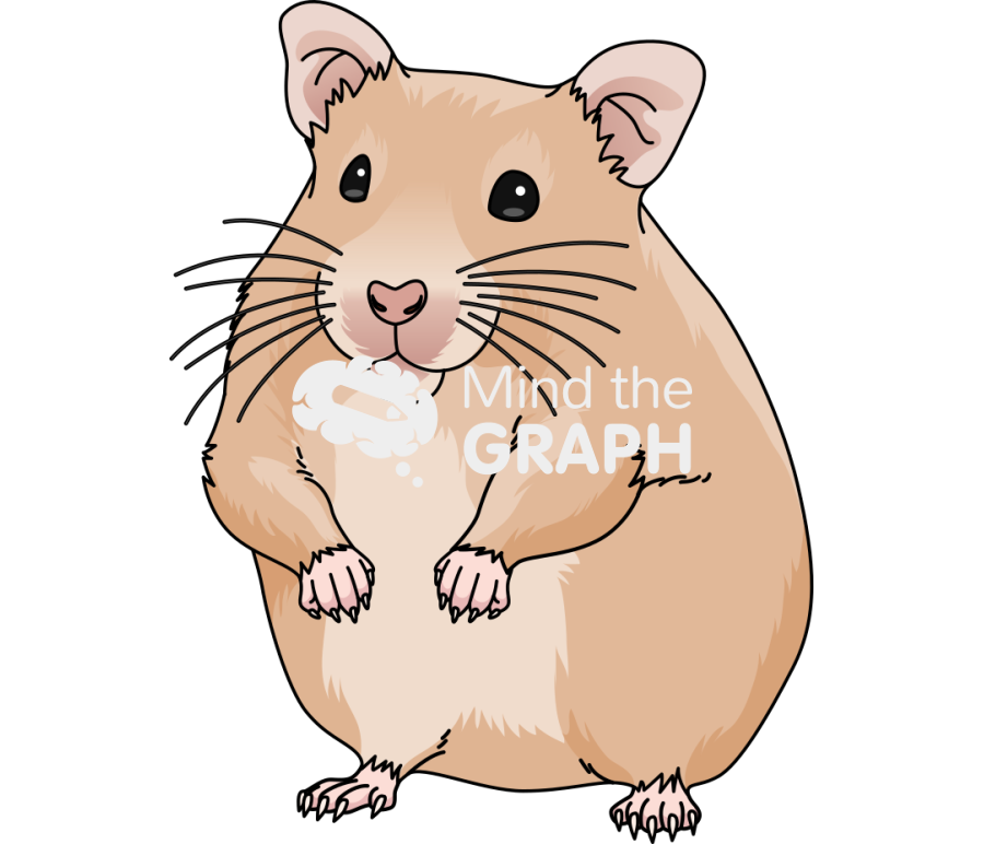 Hamster cricetina Icons, Symbols, Pictures, and Images