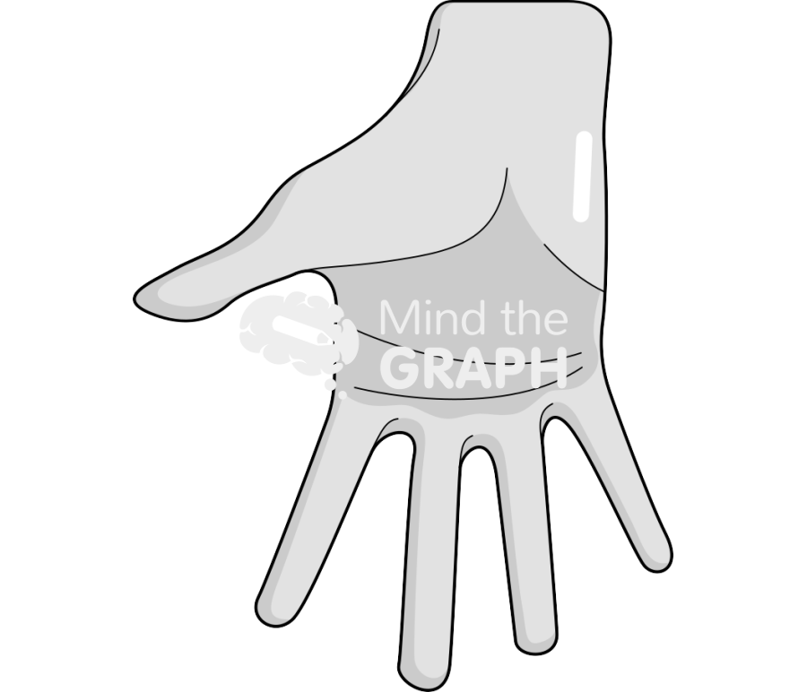 Hand anatomic 2 caucasian asiatic Icons, Symbols, Pictures, and Images