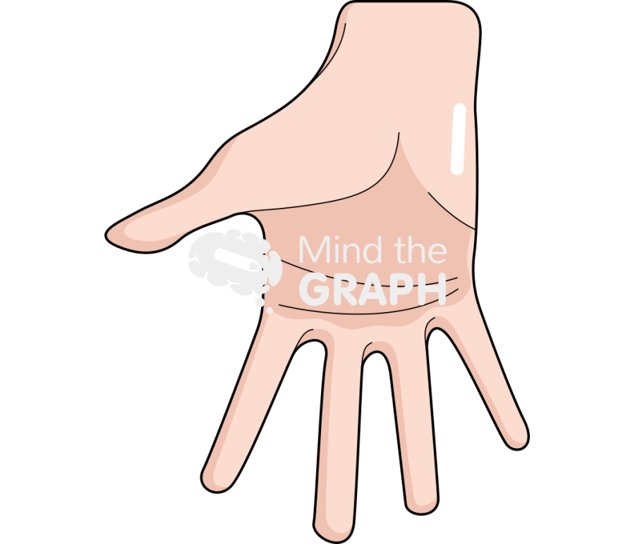 Hand anatomic 2 caucasian asiatic Icons, Symbols, Pictures, and Images