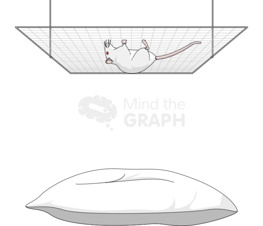 Hang wire padded test balbc mice Icons, Symbols, Pictures, and Images