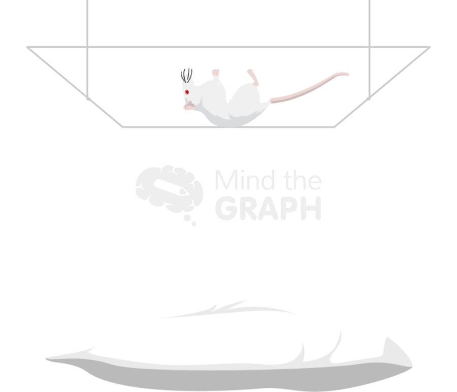 Hang wire padded test balbc mice Icons, Symbols, Pictures, and Images