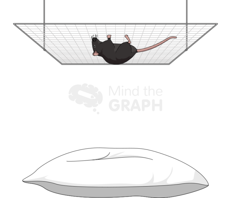 Hang wire padded test c57bl6 mice Icons, Symbols, Pictures, and Images