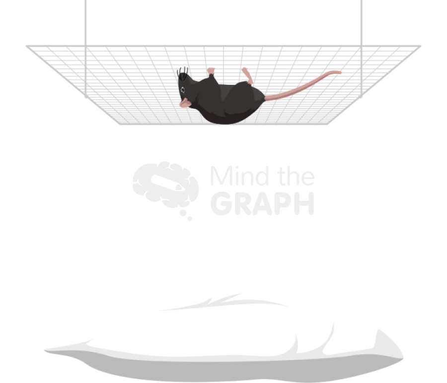 Hang wire padded test c57bl6 mice Icons, Symbols, Pictures, and Images