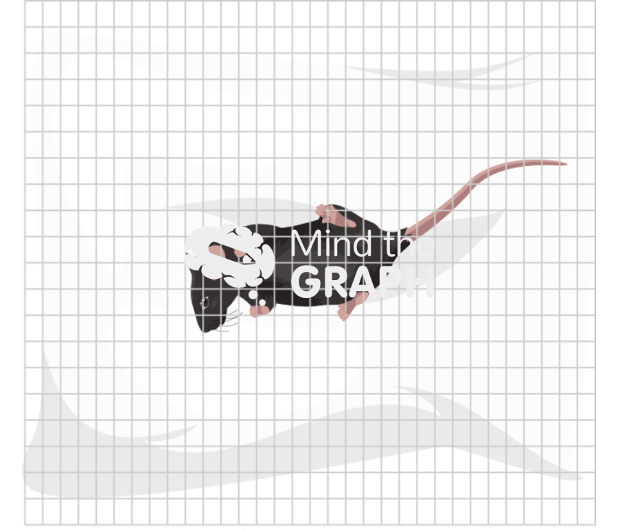 Hang wire padded test c57bl6 mice top view Icons, Symbols, Pictures, and Images