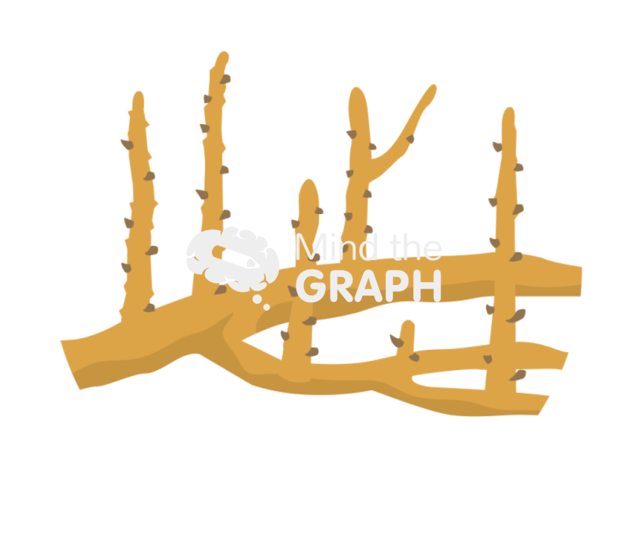 Haustorium root Icons, Symbols, Pictures, and Images