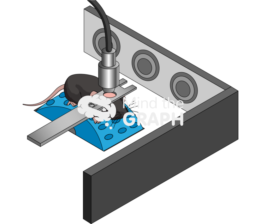 Head fixed black b6 rat Icons, Symbols, Pictures, and Images