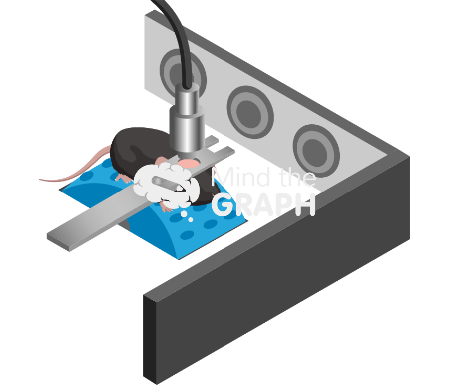 Head fixed black b6 rat Icons, Symbols, Pictures, and Images