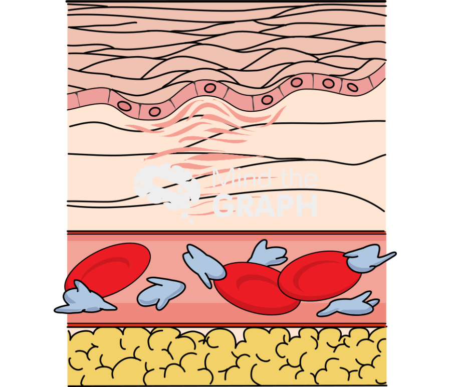 Healing 3 Icons, Symbols, Pictures, and Images