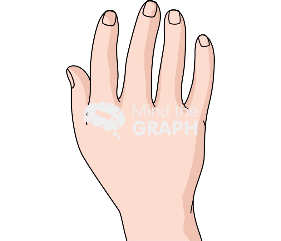 Healthy hand caucasian Icons, Symbols, Pictures, and Images