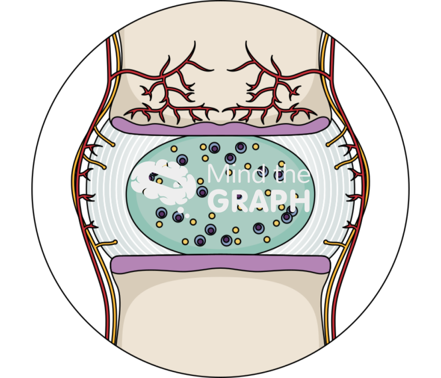 Healthy intervertebral disc zoom Icons, Symbols, Pictures, and Images