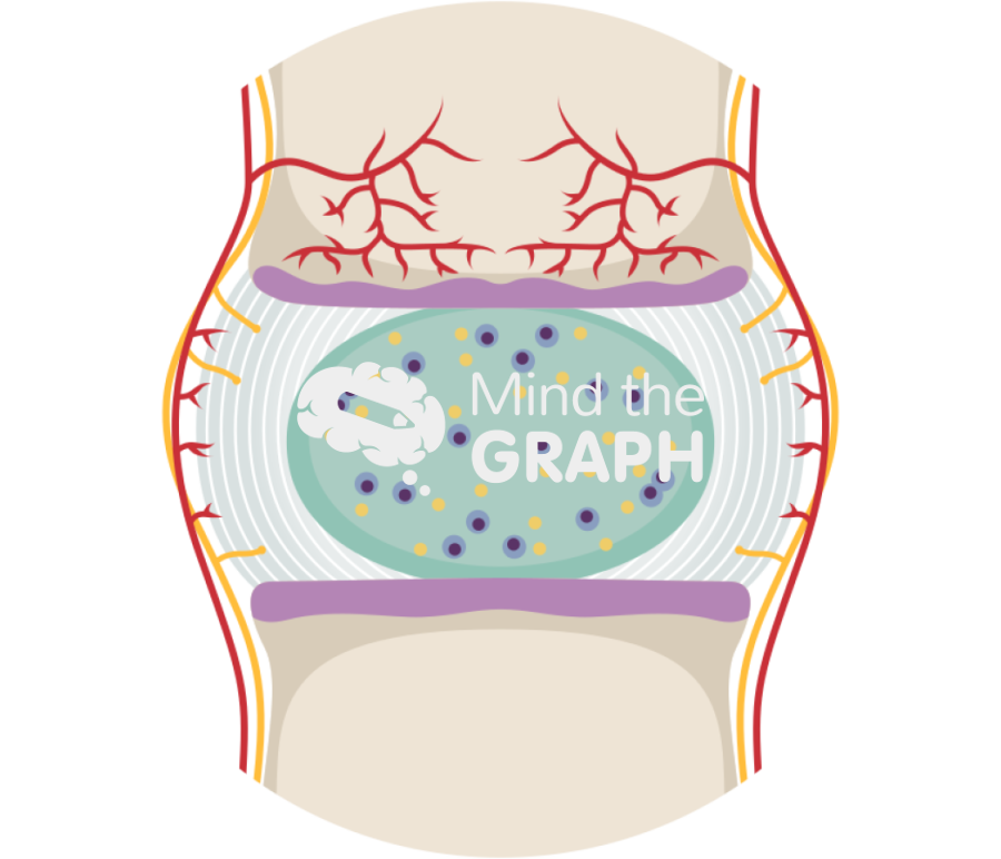 Healthy intervertebral disc zoom Icons, Symbols, Pictures, and Images