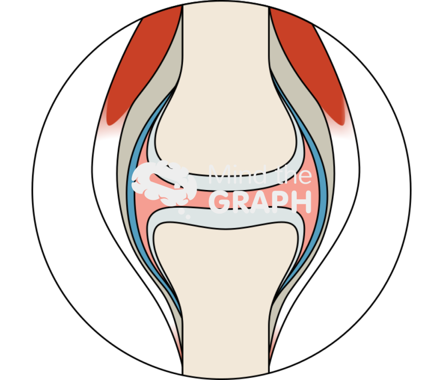 Healthy joint zoom Icons, Symbols, Pictures, and Images