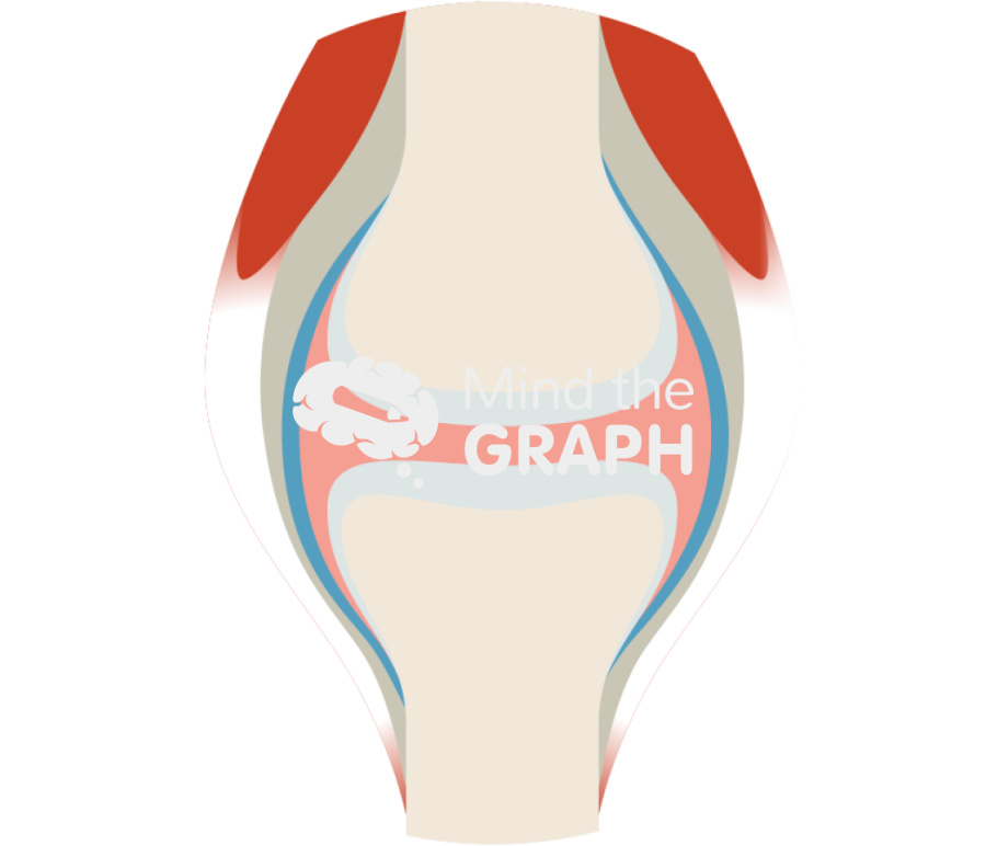 Healthy joint zoom Icons, Symbols, Pictures, and Images