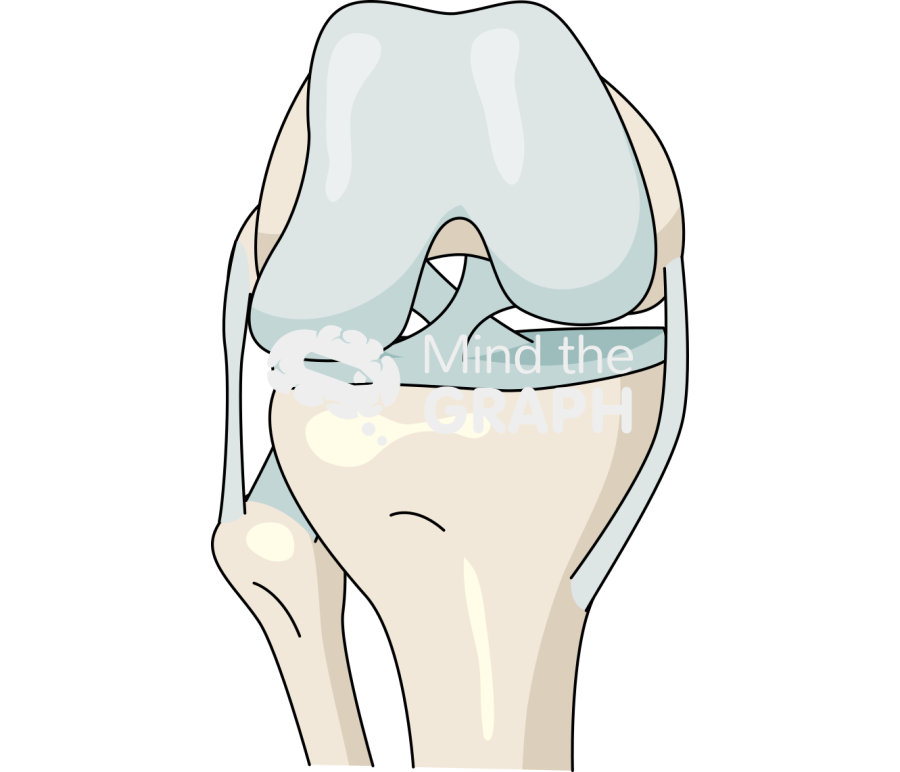 Healthy knee posterior Icons, Symbols, Pictures, and Images